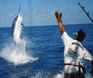 Casi 100 embarcaciones competirán en Torneo Internacional Ernest Hemingway Casi 100 embarcaciones competirán en Torneo Internacional Ernest Hemingway