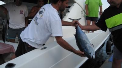 El CN Oropesa covoca el Concurso de Pesca de Pagel para el 26 de enero El CN Oropesa covoca el Concurso de Pesca de Pagel para el 26 de enero