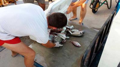 La Embarcación Serranos lidera el XXXII Trofeo de Pesca Ciudad de Burriana La Embarcación Serranos lidera el XXXII Trofeo de Pesca Ciudad de Burriana