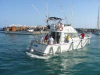 Tres picudos azules y uno blanco suben al Faelo a lo más alto del podio del Concurso de Pesca de Pasito Blanco   