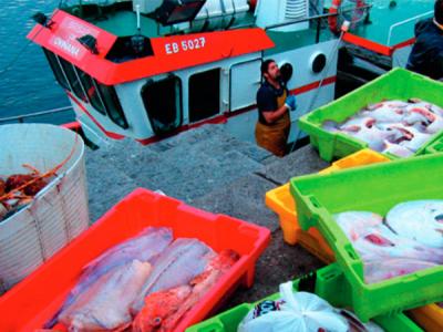 El plan de pesca de la Comisión Europea deja de lado la sostenibilidad de los ecosistemas del Atlántico