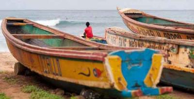 Greenpeace denuncia que barcos chinos están saqueando los caladeros africanos 