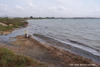 Más de 27 kilogramos de pesticidas y fármacos acaban cada año en el Mar Menor