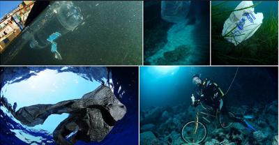 Oceana alerta de que el aumento de contaminación frena los avances en la protección de los mares Oceana alerta de que el aumento de contaminación frena los avances en la protección de los mares