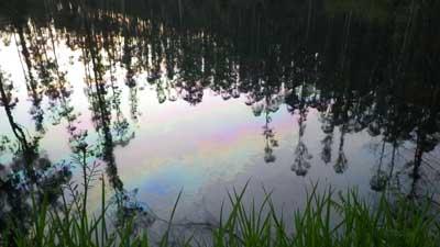 Deficiente coordinación en la gestión de un vertido de aceites en el río Xuvia Deficiente coordinación en la gestión de un vertido de aceites en el río Xuvia