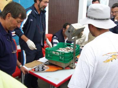 El Club Nautico Caramiñal organiza el 9 de agosto un concurso de pesca deportiva. El Club Nautico Caramiñal organiza el 9 de agosto un concurso de pesca deportiva.