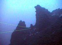 El volcán submarino de la isla de El Hierro se recoloniza a pasos agigantados
