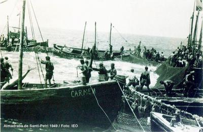 La pesca intensiva de juveniles fue la principal causa del descenso del atún rojo en los años 60