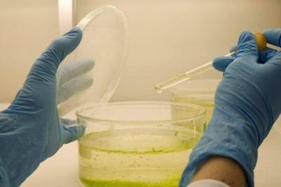 El IEO y el Instituto de Salud Carlos III colaborarán en materia de medio ambiente e investigación marina y salud El IEO y el Instituto de Salud Carlos III colaborarán en materia de medio ambiente e investigación marina y salud