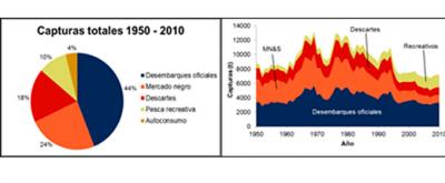 OCEANA revela que la mitad de las capturas de Baleares de los últimos 60 años no se han declarado