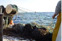 Un estudio confirma los beneficios de las reservas marinas sobre las pesquerías artesanales