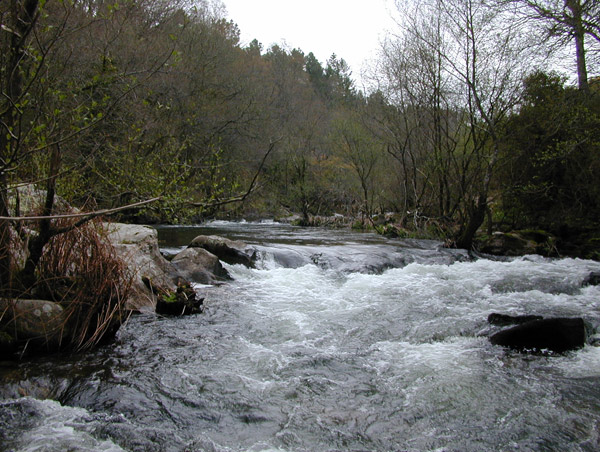 Remansa, acelera, agua en su más pura esencia Remansa, acelera, agua en su más pura esencia