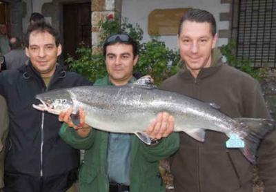 El campanu de Asturias pescado en el río Sella El campanu de Asturias pescado en el río Sella