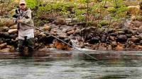 Este domingo los pescadores buscarán el campanu en ríos asturianos con abundancia de salmones 