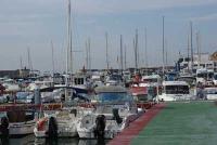 El  Campeonato del Mundo de Pesca de Altura al Brumeo por Clubs del CN Oropesa podría autorizar la pesca ‘sin muerte’ del atún rojo