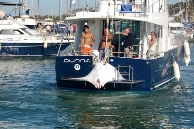 Gran éxito del “X Campeonato de España de Pesca de Altura de al Curricán” celebrado en el RCN de Dénia Gran éxito del “X Campeonato de España de Pesca de Altura de al Curricán” celebrado en el RCN de Dénia