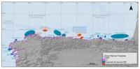 Es necesario PROTEGER 45.000 KM2 MARINOS en GALICIA y CANTÁBRICO antes de 2012