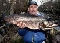 Galicia. Pocas cañas, menos truchas y frío en el arranque de la temporada de pesca continental