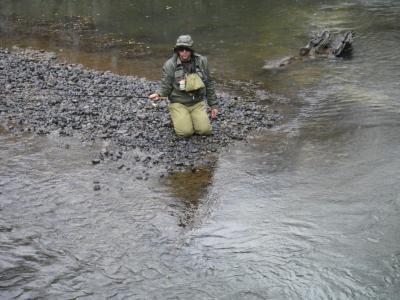III máster de pesca a mosca por parejas “río Duero” III máster de pesca a mosca por parejas “río Duero”
