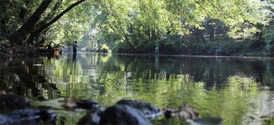 Open de Pesca por Parejas Río Mandeo Open de Pesca por Parejas Río Mandeo