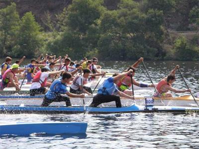 Barra de Miño acoge el campeonato gallego de barcos de equipo. Barra de Miño acoge el campeonato gallego de barcos de equipo.
