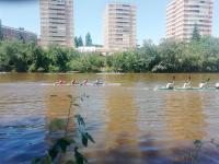 Gran Premio K4 Internacional de Castilla y León por Selecciones Autonómicas. 