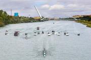 Pleno verdiblanco en la 52ª Regata Sevilla-Betis Pleno verdiblanco en la 52ª Regata Sevilla-Betis