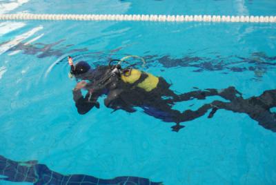 La Delegación Valenciana viaja a Zaragoza con el objetivo de colgarse medallas en la Copa de España de Buceo Deportivo en piscina La Delegación Valenciana viaja a Zaragoza con el objetivo de colgarse medallas en la Copa de España de Buceo Deportivo en piscina