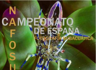 Roses acojerá el NAFOSUB-09, Campeonato d’España por Autonomías de Fotografía Subacuática. Roses acojerá el NAFOSUB-09, Campeonato d’España por Autonomías de Fotografía Subacuática.