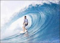 Surf desde Australia