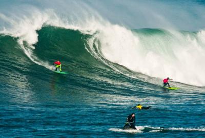 Un nuevo formato de competición para la VACA GIGANTE de OAKLEY Un nuevo formato de competición para la VACA GIGANTE de OAKLEY