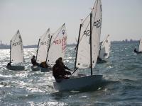 Campeonatos de Andalucía de Optimist por equipos y Catamarán