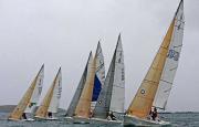 El Mi Moneda vence en la cuarta jornada del Trofeo Vitaldent J80 del Monte Real El Mi Moneda vence en la cuarta jornada del Trofeo Vitaldent J80 del Monte Real