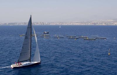 El viento del sur acompaña a la flota del Trofeo Caero El Campello – Ceuta  al paso por los cabos de Palos y de Gata