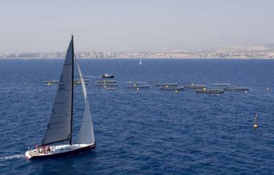El viento del sur acompaña a la flota del Trofeo Caero El Campello – Ceuta al paso por los cabos de Palos y de Gata El viento del sur acompaña a la flota del Trofeo Caero El Campello – Ceuta al paso por los cabos de Palos y de Gata