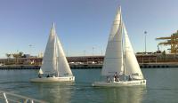 La Final Nacional de la BMW Sailing Cup 2008, primer Campeonato de España de Clases Monotipos, arranca el sábado 16 a las 12:00 horas 