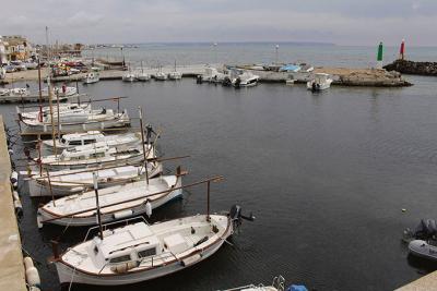 El Club Marítimo Molinar se ofrece a compartir el puerto con la Federación Balear de Vela El Club Marítimo Molinar se ofrece a compartir el puerto con la Federación Balear de Vela