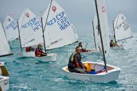 El Equipo Autonómico de Optimist realizará un entrenamiento oficial en la Escola Municipal de Vela de Valencia
