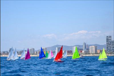 João Pinto lidera la Kakapo Open Race después del primer día de regatas João Pinto lidera la Kakapo Open Race después del primer día de regatas