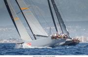 La Copa del Rey MAPFRE, campo de batalla para los Mini Maxi La Copa del Rey MAPFRE, campo de batalla para los Mini Maxi