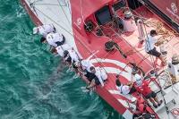 Dongfeng Race Team, profeta en su In-Port