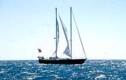 La I edición de la Discoveries Race-Regata de los Alisios partirá de Lisboa el 27 de agosto La I edición de la Discoveries Race-Regata de los Alisios partirá de Lisboa el 27 de agosto