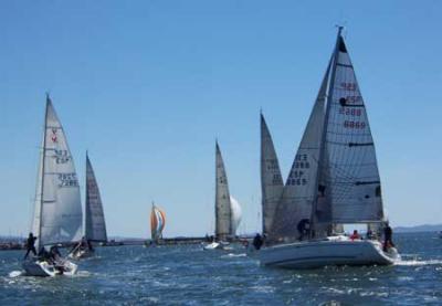 1ª manga de la XIII edicion de la regata Elidente con triunfo de Oral group, sara y Santiago Roma Rias Baixas. 1ª manga de la XIII edicion de la regata Elidente con triunfo de Oral group, sara y Santiago Roma Rias Baixas.