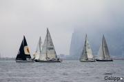 Altarik IV, Lily, Miralejos y Bombay, vencedores de la VI prueba de la Interclubs del Estrecho organizada por el RCN La Línea. Altarik IV, Lily, Miralejos y Bombay, vencedores de la VI prueba de la Interclubs del Estrecho organizada por el RCN La Línea.