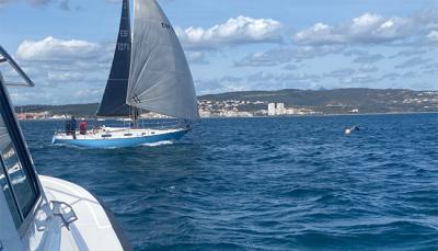 Altarik IV en ORC1-2, Flamenco en ORC3 y Senador en Reducida ganan en Sotogrande. Altarik IV en ORC1-2, Flamenco en ORC3 y Senador en Reducida ganan en Sotogrande.