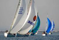 Blue Dragon, Ocide y Tetis vencedores del Trofeo Presidente del RCN Valencia