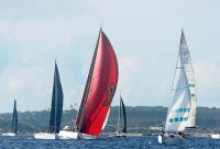 Cafés Granell, vencedor absoluto del 30º Trofeo Peñón de Ifach