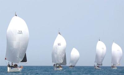 El Trofeo 2islas a2 se celebrará este fin de semana en las instalaciones del RCRA. El Trofeo 2islas a2 se celebrará este fin de semana en las instalaciones del RCRA.