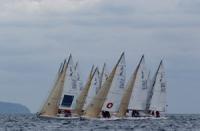 Espitos Uno, Vell MariV, Portcall, Pro-Rigging y Flying High, ganadores del Trofeo Noli en Plama