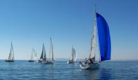 Finaliza el Trofeo Aldebarán en el Real Club de Regatas de Alicante.